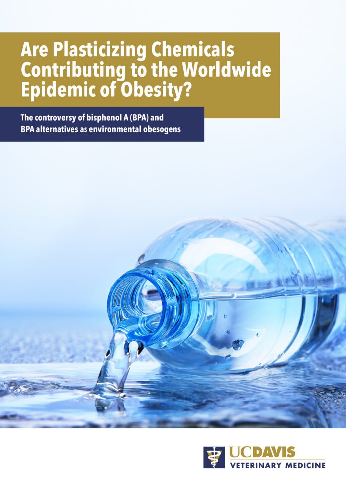 epidemic of obesity, bisphenol A