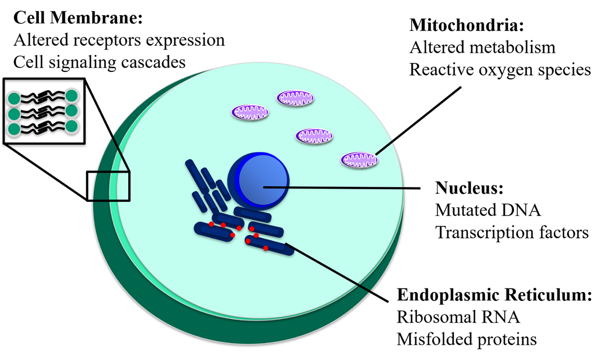 cell organelles, microfluidic isolation