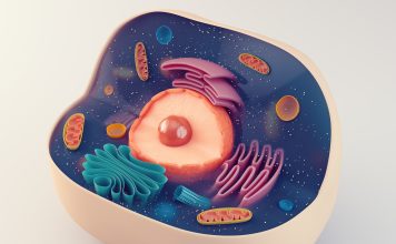 cell organelles, microfluidic isolation