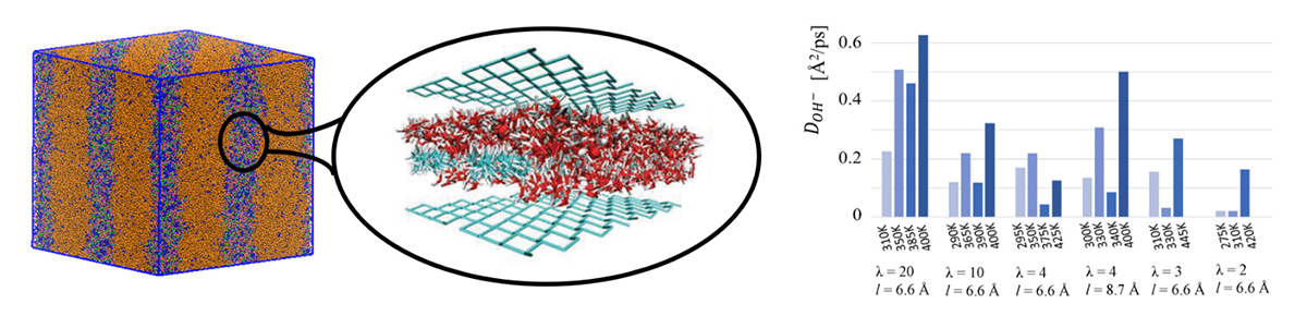 anion exchange membrane, computer simulation