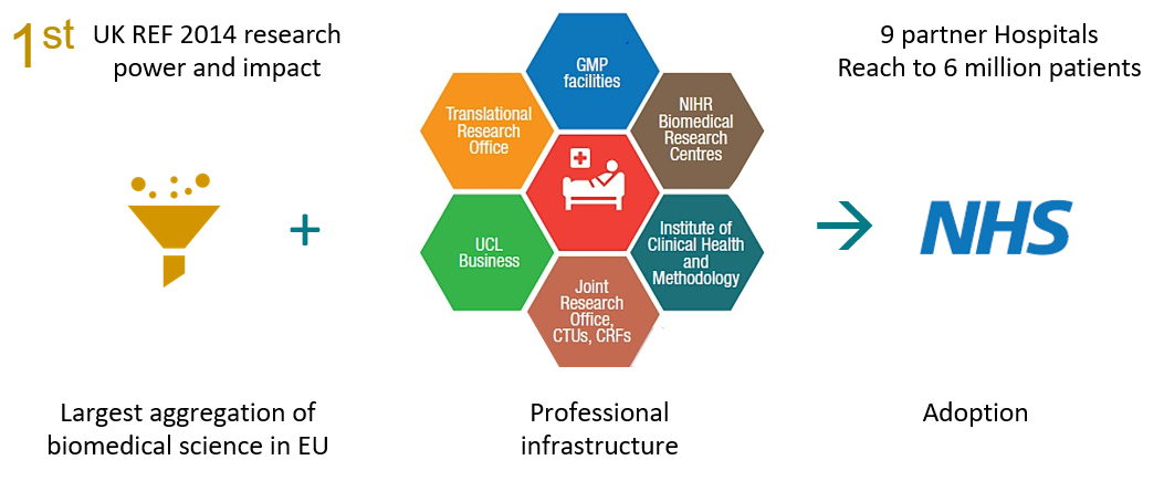 biomedical translational