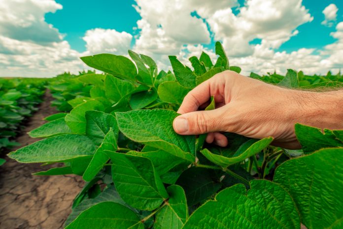 protect plant health