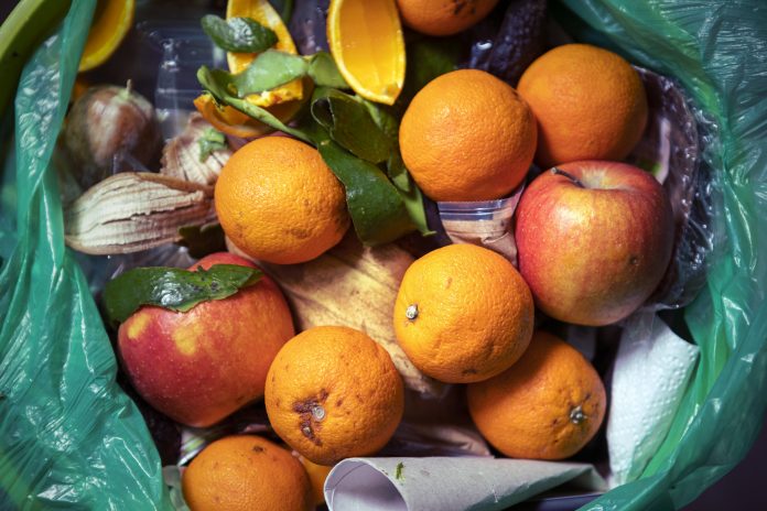 tackle food waste