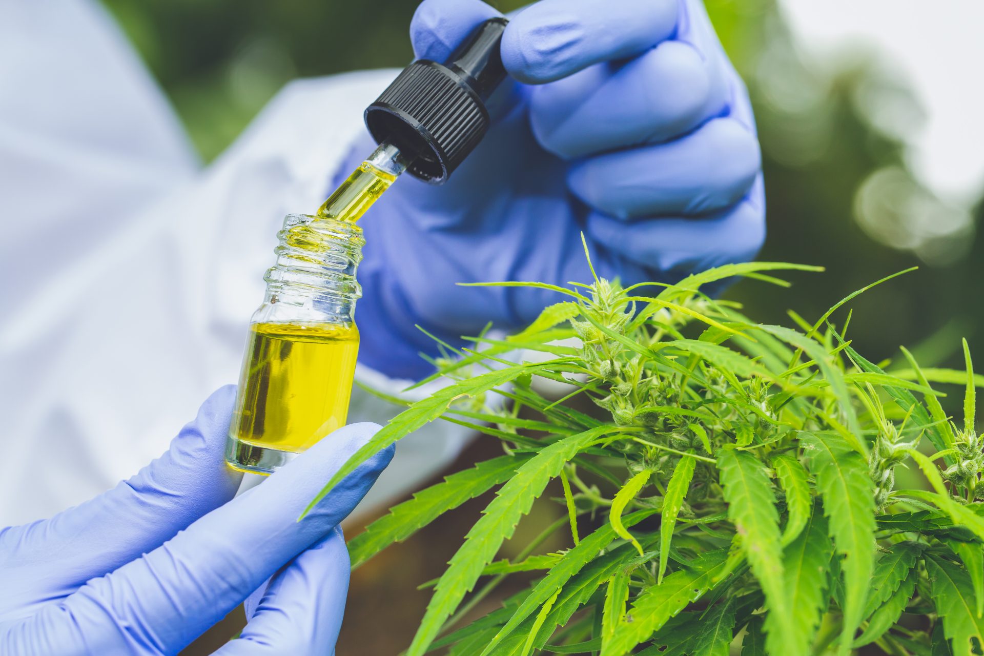 What are the most common myths about CBD?
