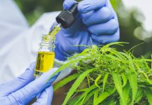 myths about CBD