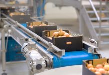 future of the food industry