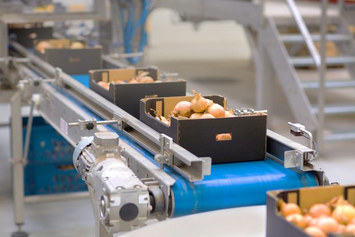 future of the food industry