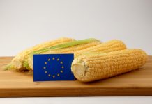 European Commissioner for Agriculture