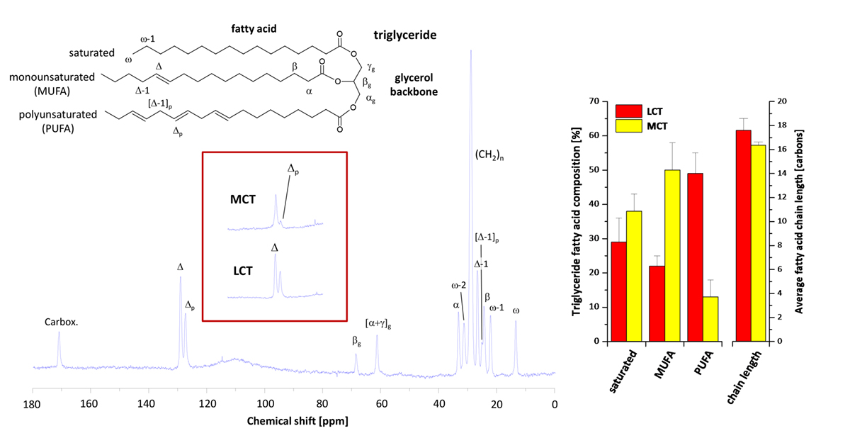 magnetic resonance techniques, lipid metabolism