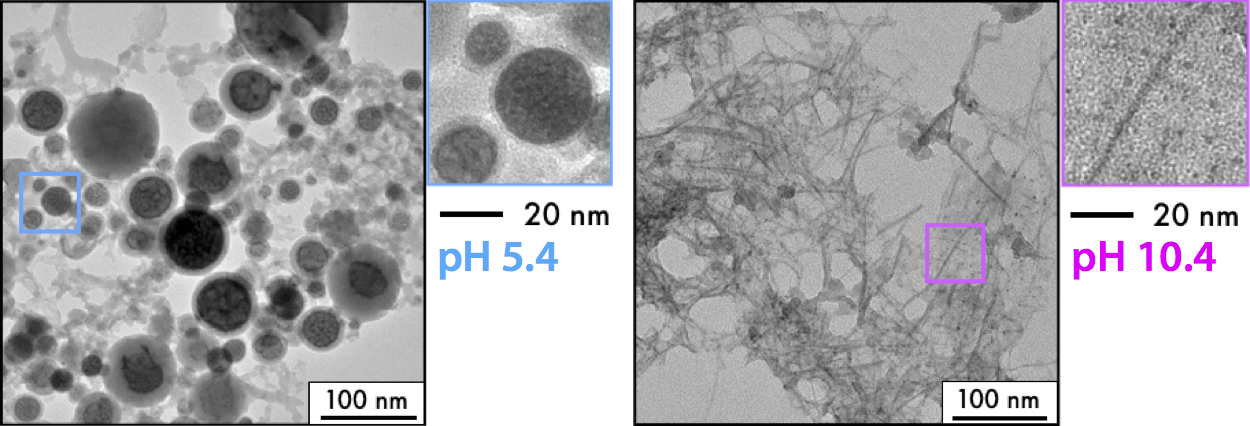 laser ablation in liquid, nanocomposites