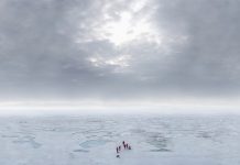 sustainable development, Arctic,
