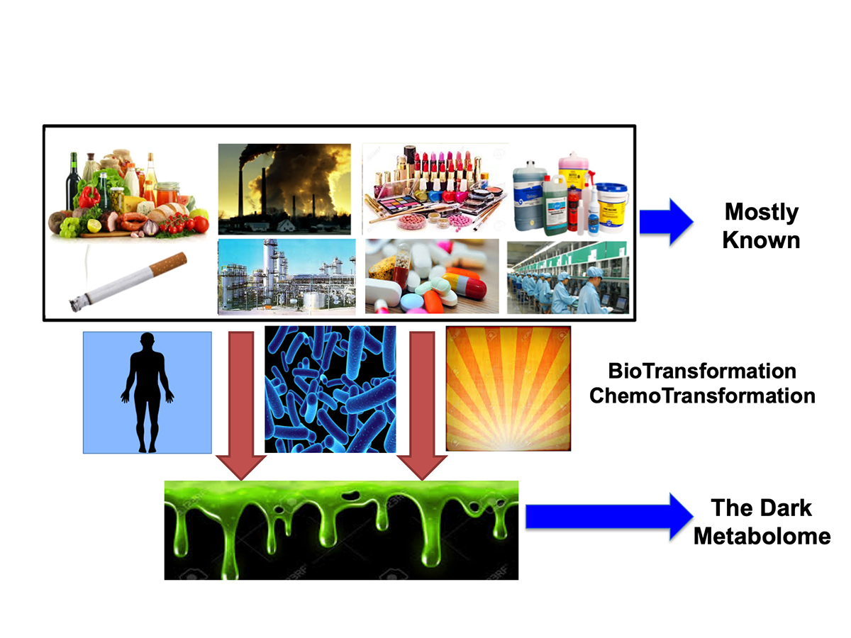 https://www.openaccessgovernment.org/wp-content/uploads/2020/02/Darkmetabolome.jpg