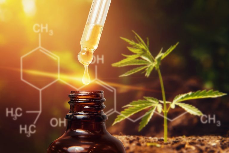 rise of cannabidiol