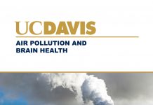air pollution and brain health, pollutants