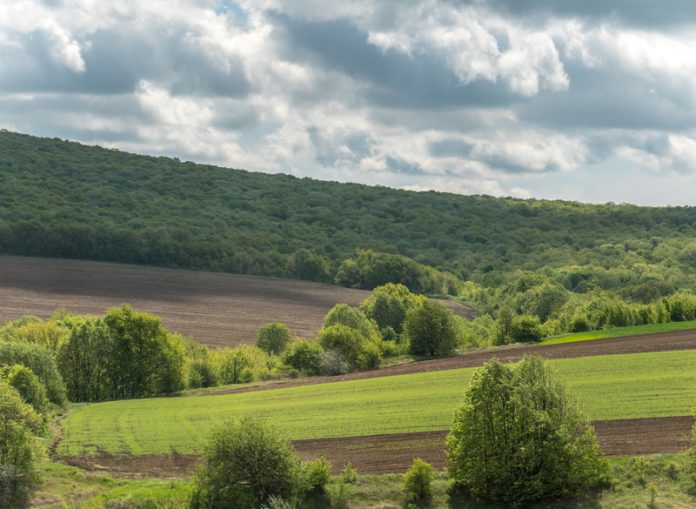 LANDSUPPORT - Agriculture and forest