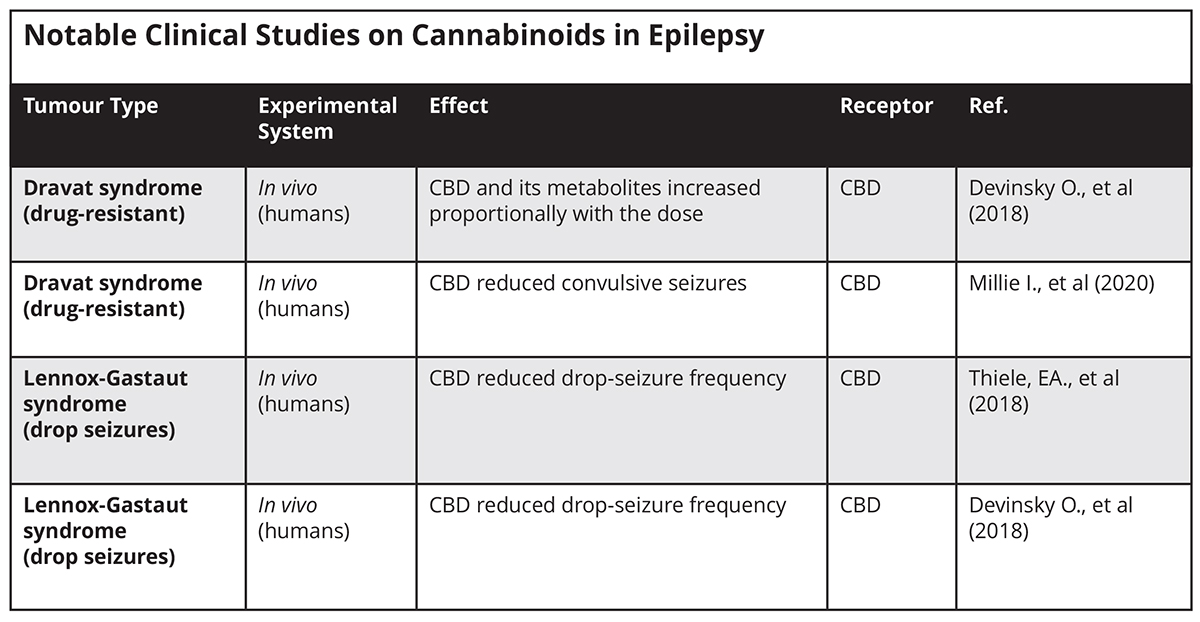 cannabinoids in medicine, epilepsy