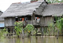 food pollution, indigenous