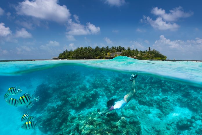 climate emergency, marine