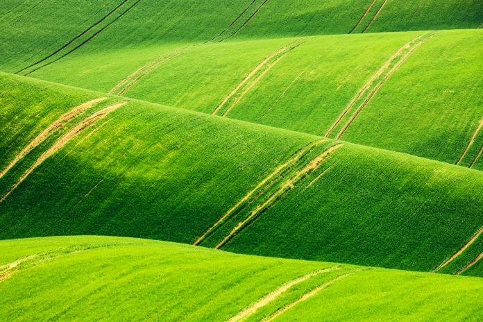 sustainable agroecosystems, grazing