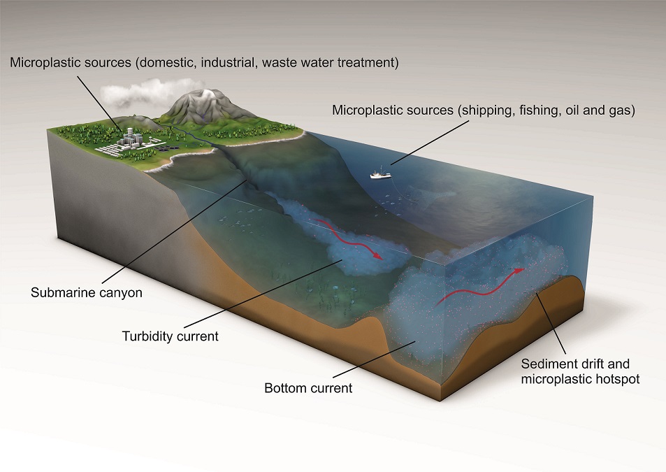 microplastic on seafloor, ecosystem