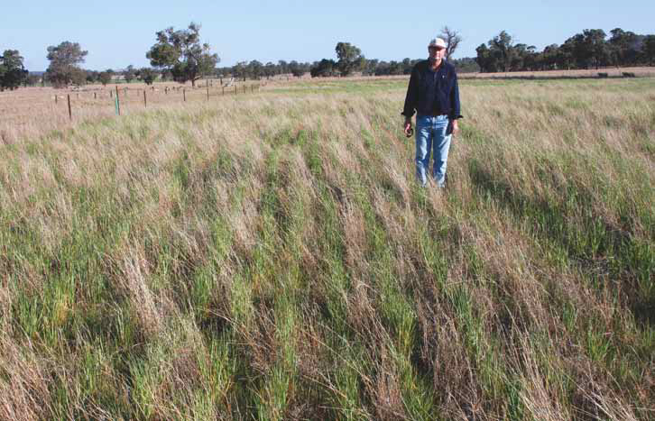 Sustainable agroecosystems