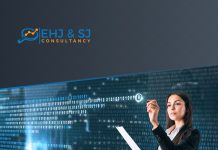 Cyber Security issues, EHJ & SJ consultancy