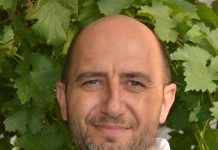 Philippe Rolshausen