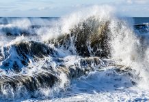 wave energy, SEA TITAN