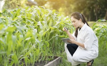 plant essential oils, iowa state