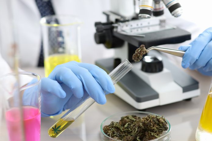 cannabinoid research