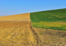 Soil and agriculture