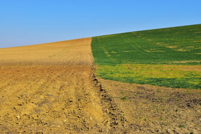 Soil and agriculture