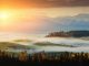 conservation success 2020