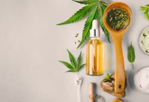 CBD novel food applications