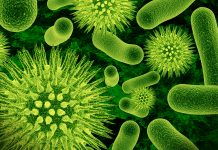 Antimicrobial nanocoatings