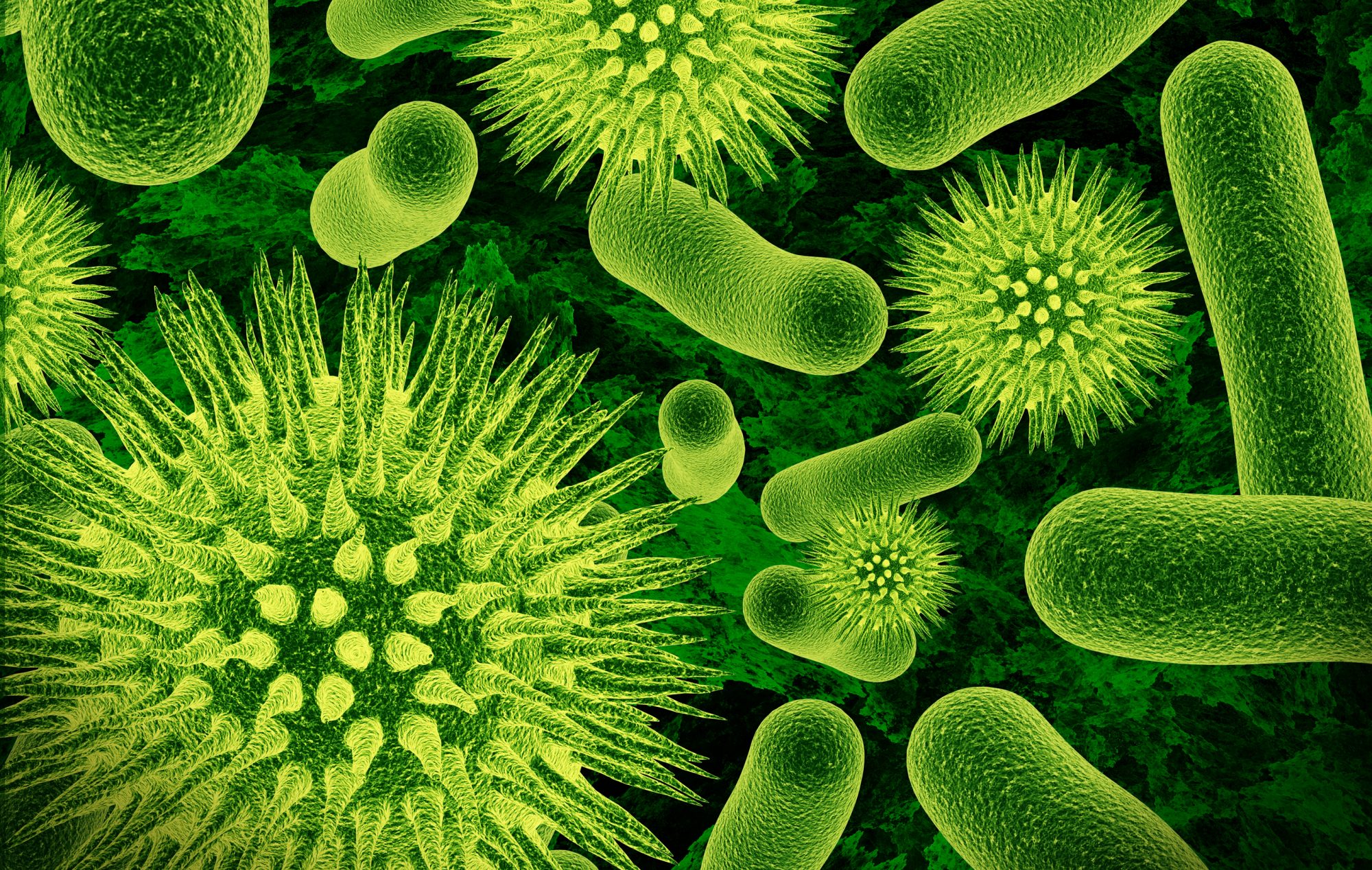 Antimicrobial nanocoatings: Functional and preventative benefits