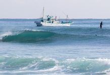 Ocean warming patterns