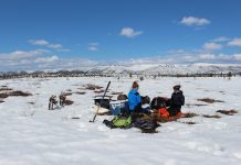 permafrost carbon emissions