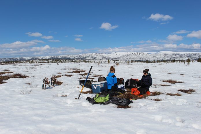 permafrost carbon emissions