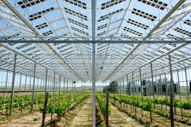 sustainable food supply, solar energy