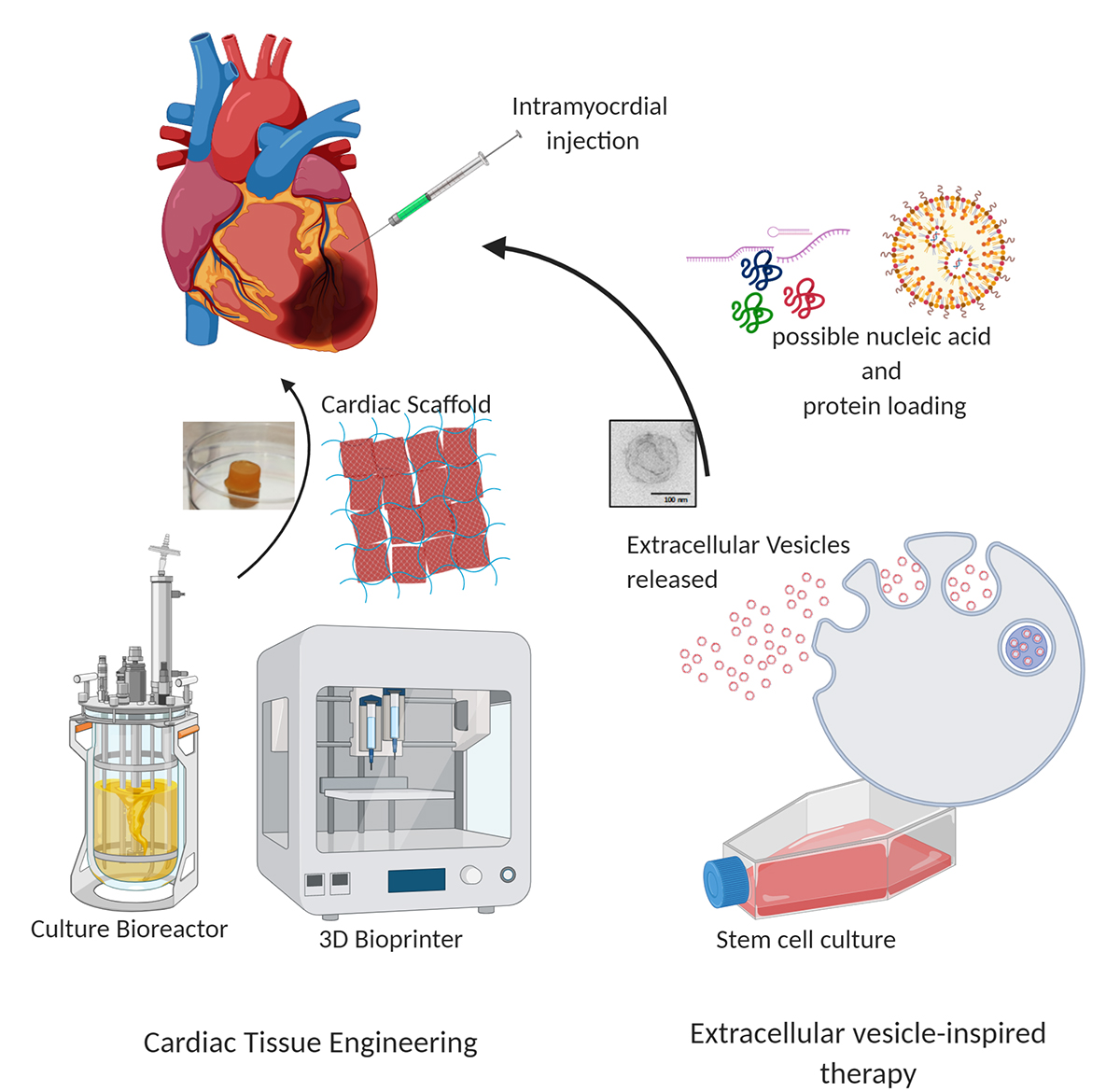 treatments for heart failure,