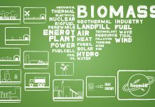 bioeconomy