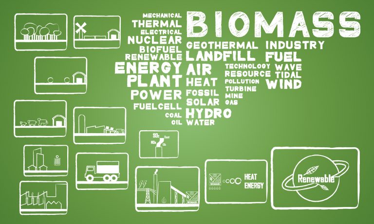 bioeconomy