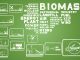 bioeconomy