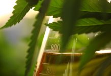 compliance for medical cannabis