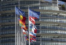green deal covid, European Green Deal Call