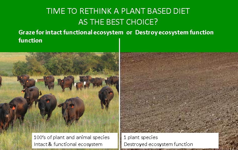 soil carbon, environment