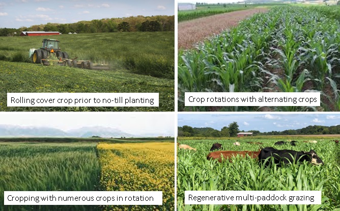 soil carbon, environment