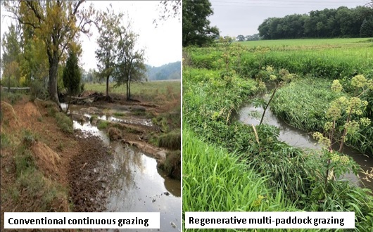 soil carbon, environment