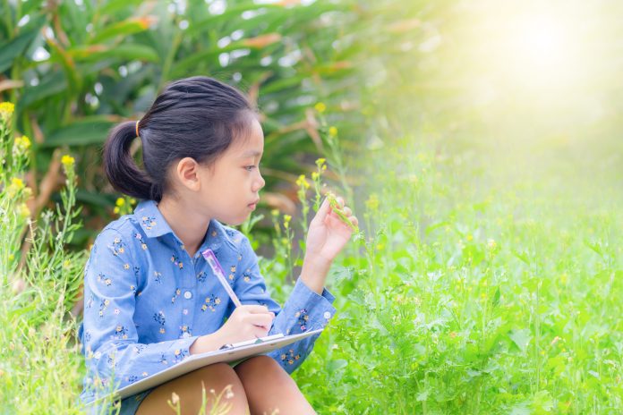 outdoor learning